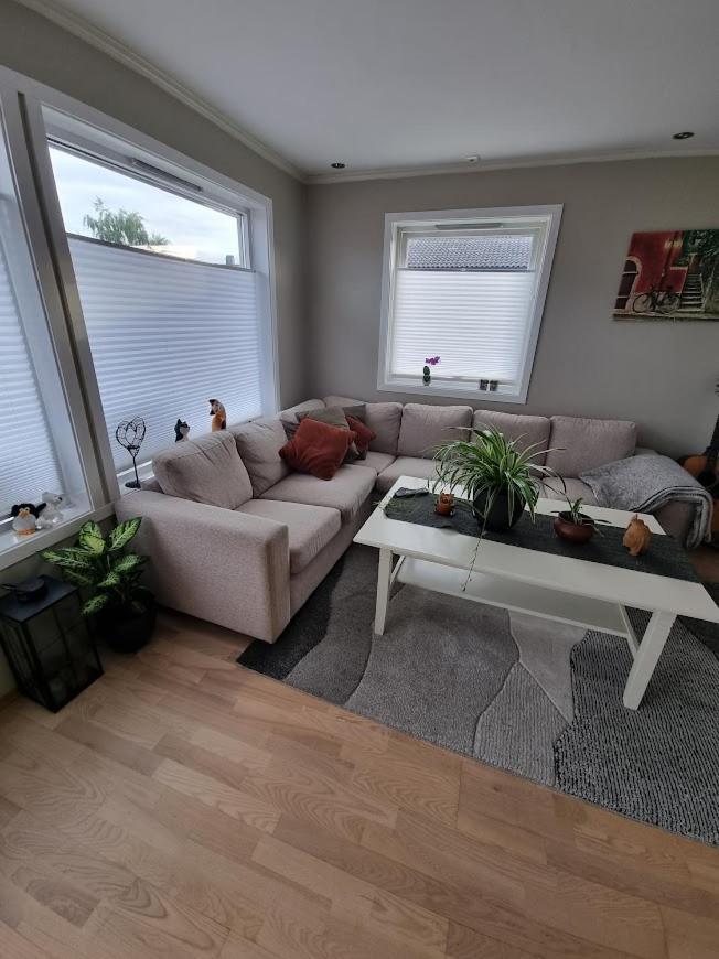 Private Guest Room In Cozy Apartment Trondheim Ngoại thất bức ảnh