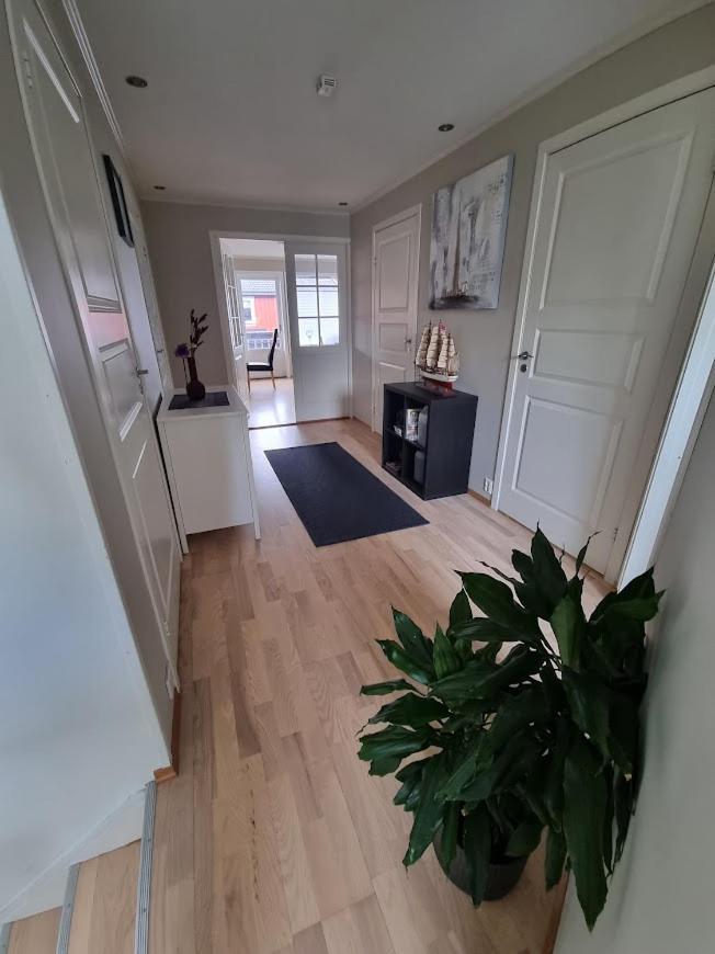 Private Guest Room In Cozy Apartment Trondheim Ngoại thất bức ảnh